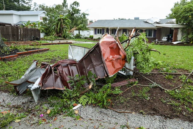 Why Storm Damage Tree Removal Should Be Left to the Pros in Columbus