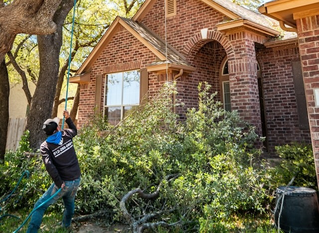 Emergency Tree Removal in Columbus: Safety, Speed, and Professional Response